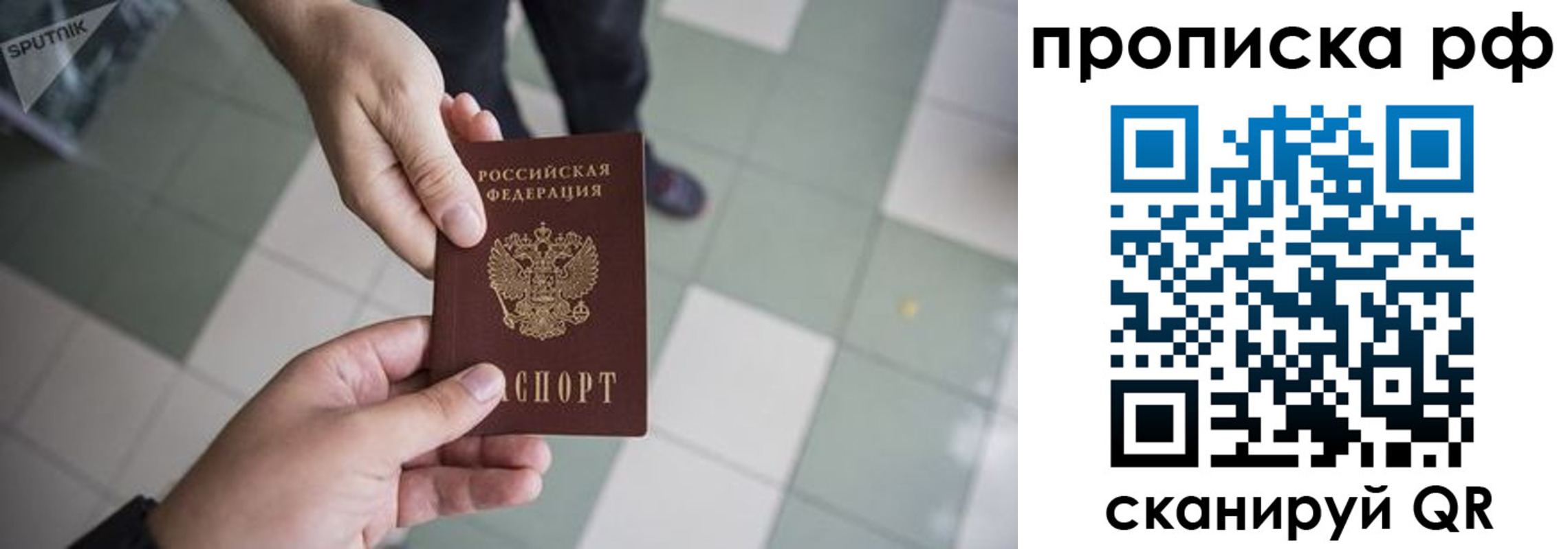 прописка гарантия в Сасово